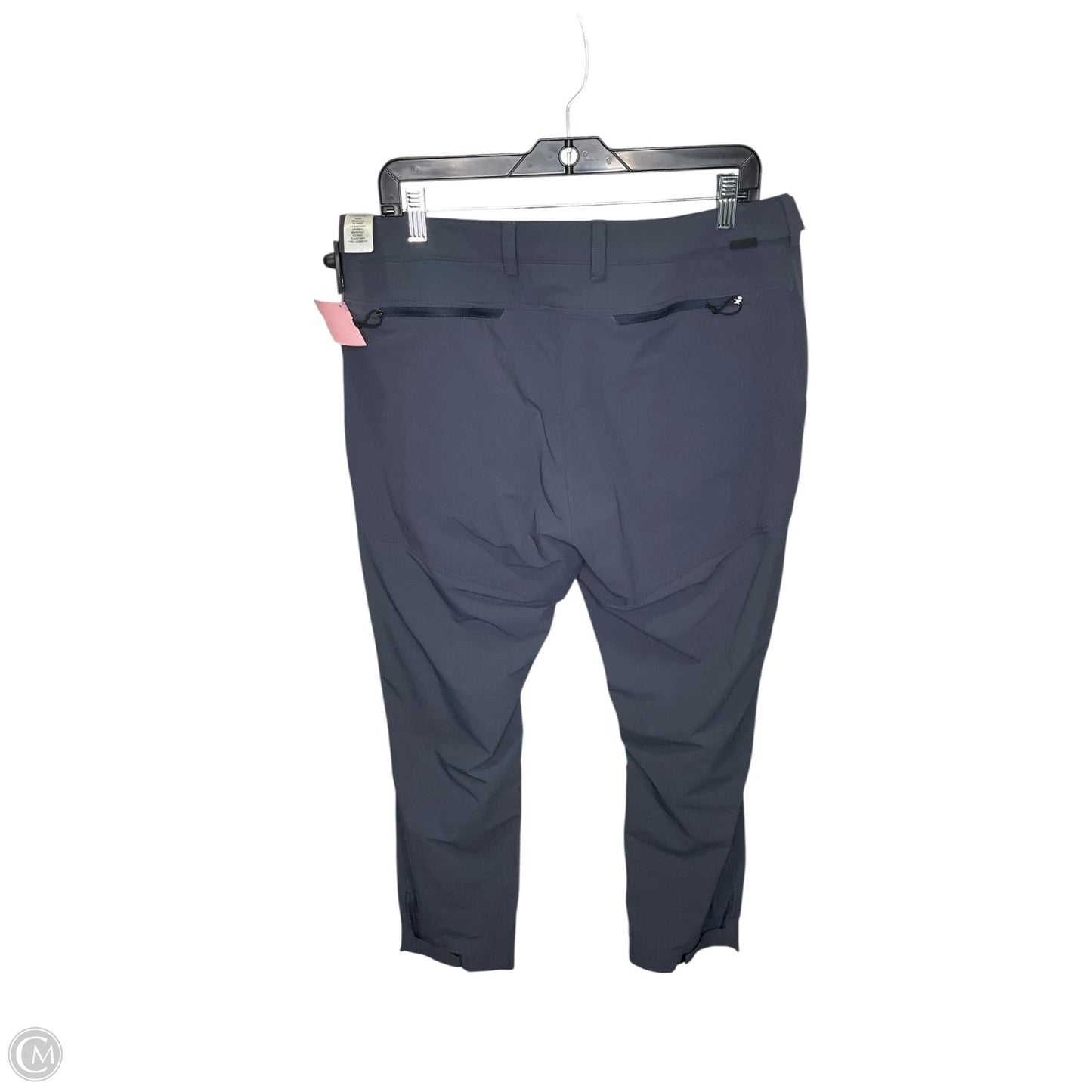 Athletic Pants By Patagonia In Navy, Size: 14