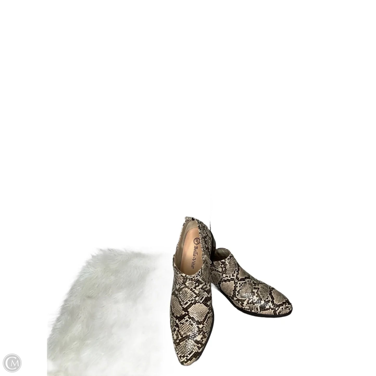 Boots Ankle Flats By Clothes Mentor In Snakeskin Print, Size: 9.5