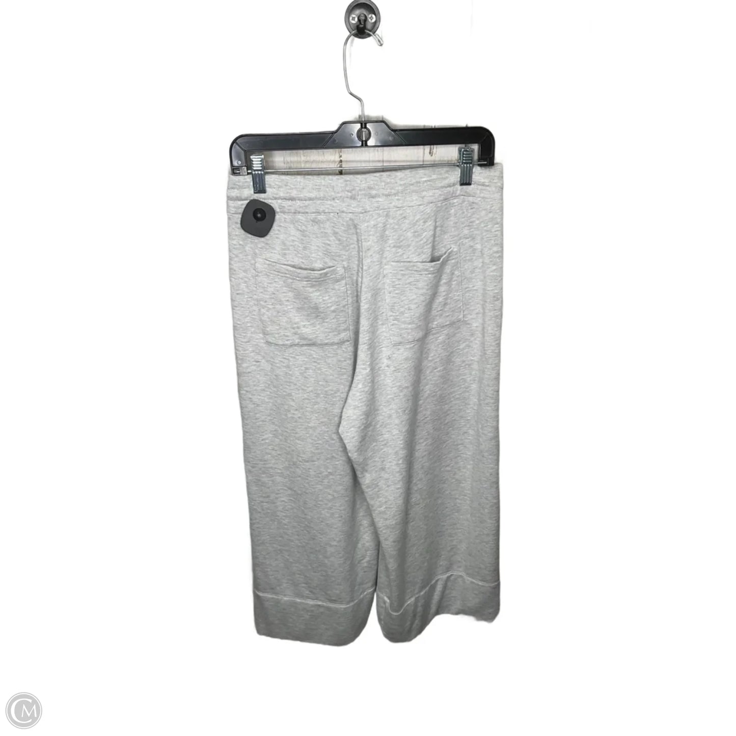 Athletic Pants By Quince In Grey, Size: M