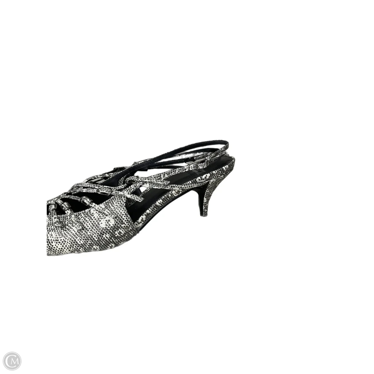 Shoes Heels Stiletto By Jeffrey Campbell In Snakeskin Print, Size: 10