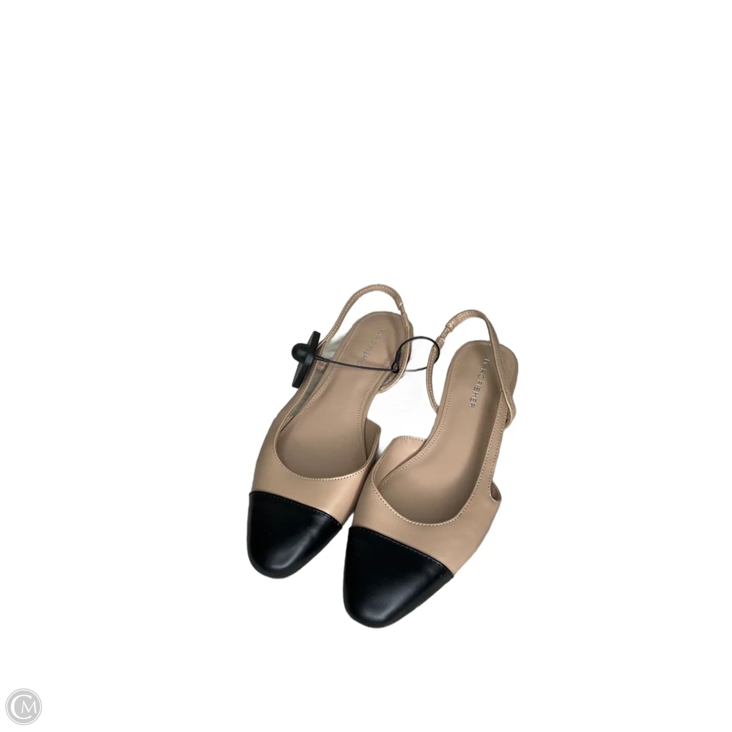 Shoes Flats By Marc Fisher In Black & Cream, Size: 8
