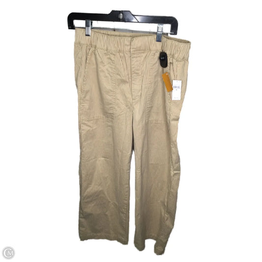 Pants Other By Gap In Brown, Size: 8