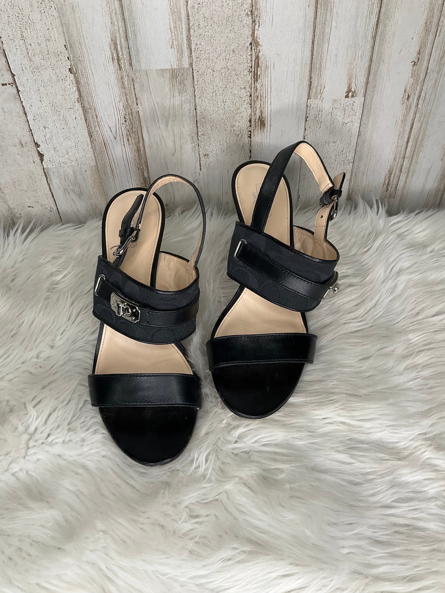 Black Shoes Designer Coach, Size 10