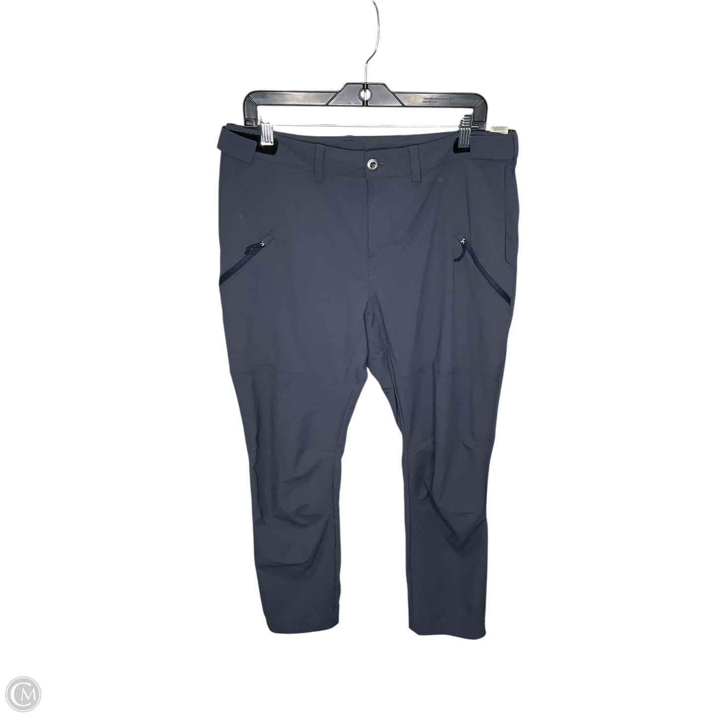 Athletic Pants By Patagonia In Navy, Size: 14