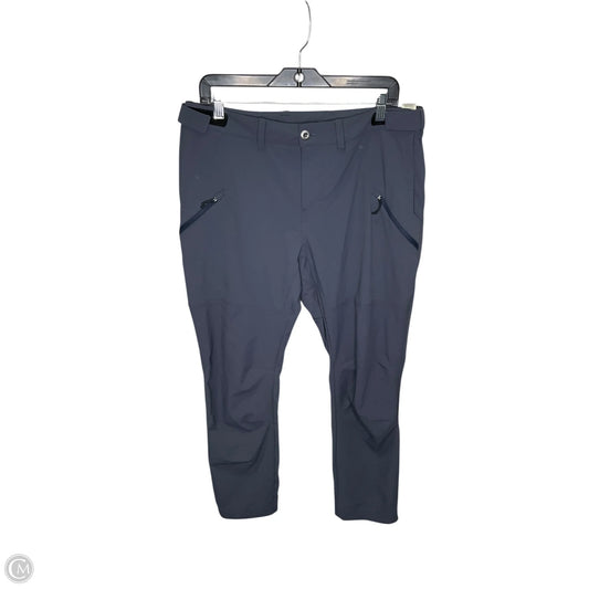Athletic Pants By Patagonia In Navy, Size: 14