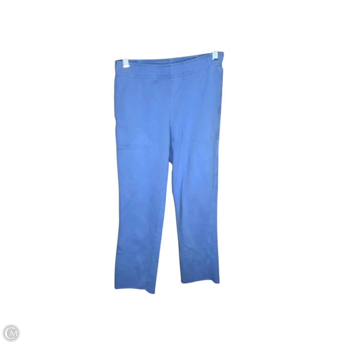 Athletic Pants By Aerie In Blue, Size: Xs