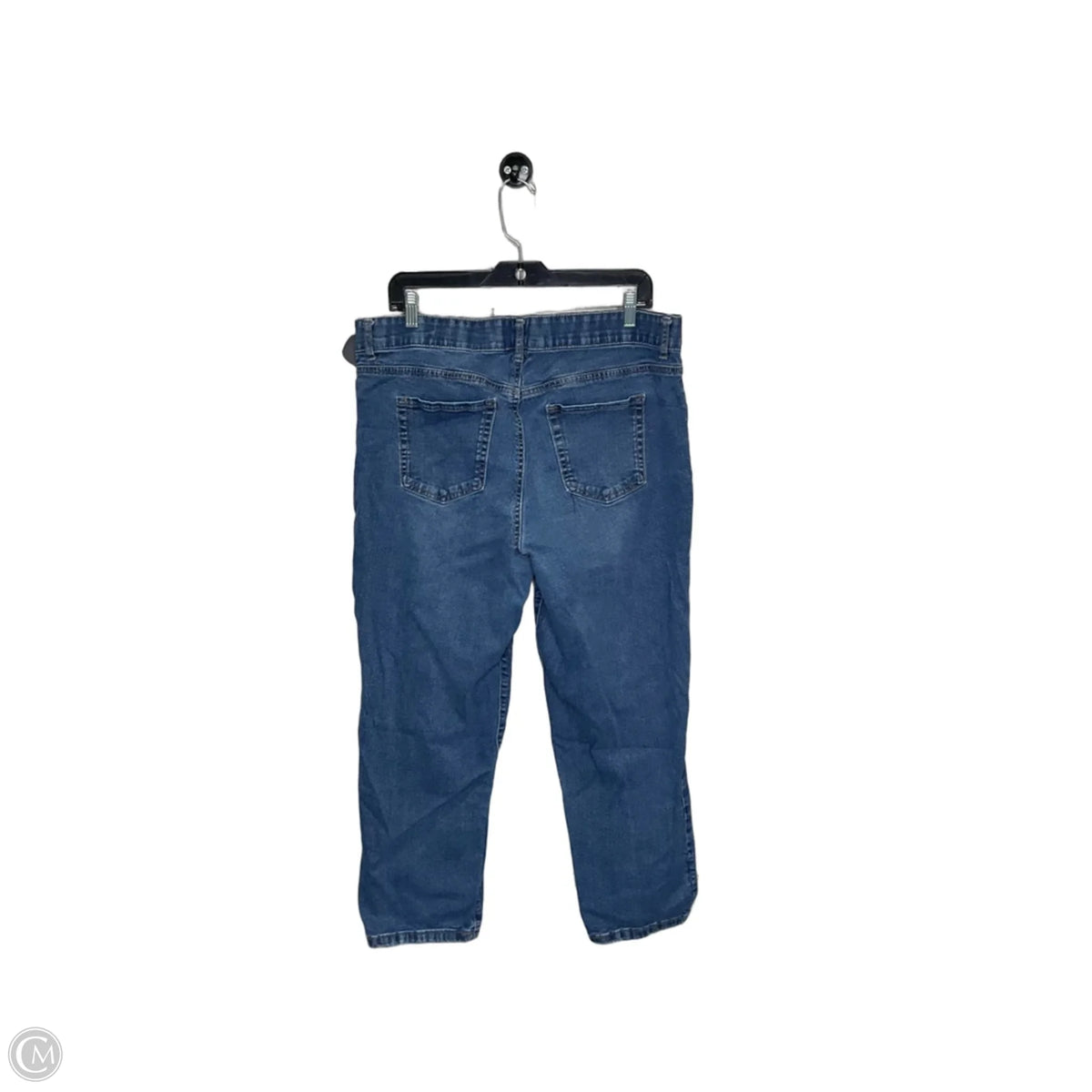 Jeans Straight By Terra & Sky In Blue Denim, Size: 16