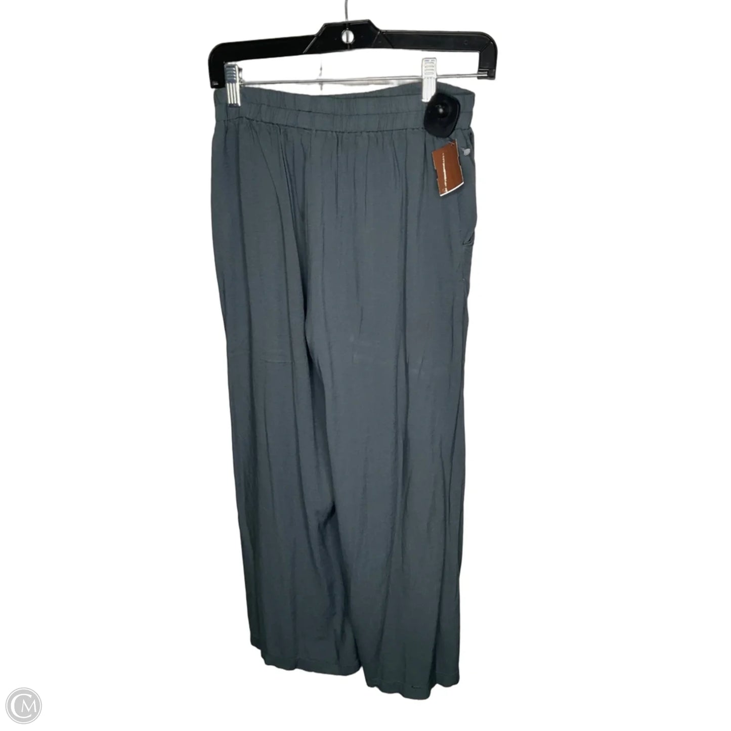 Pants Linen By Clothes Mentor In Grey, Size: M