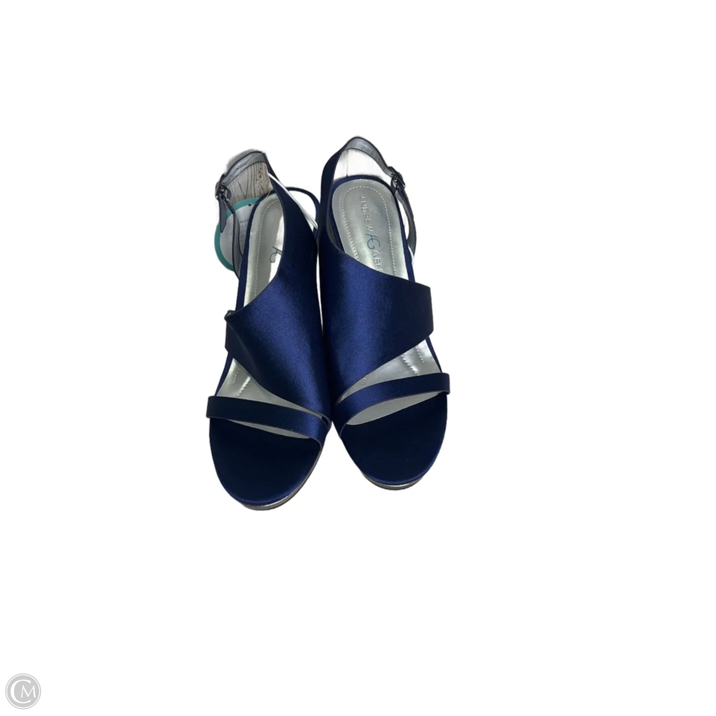 Shoes Heels Stiletto By Andrew Gellar In Blue, Size: 11