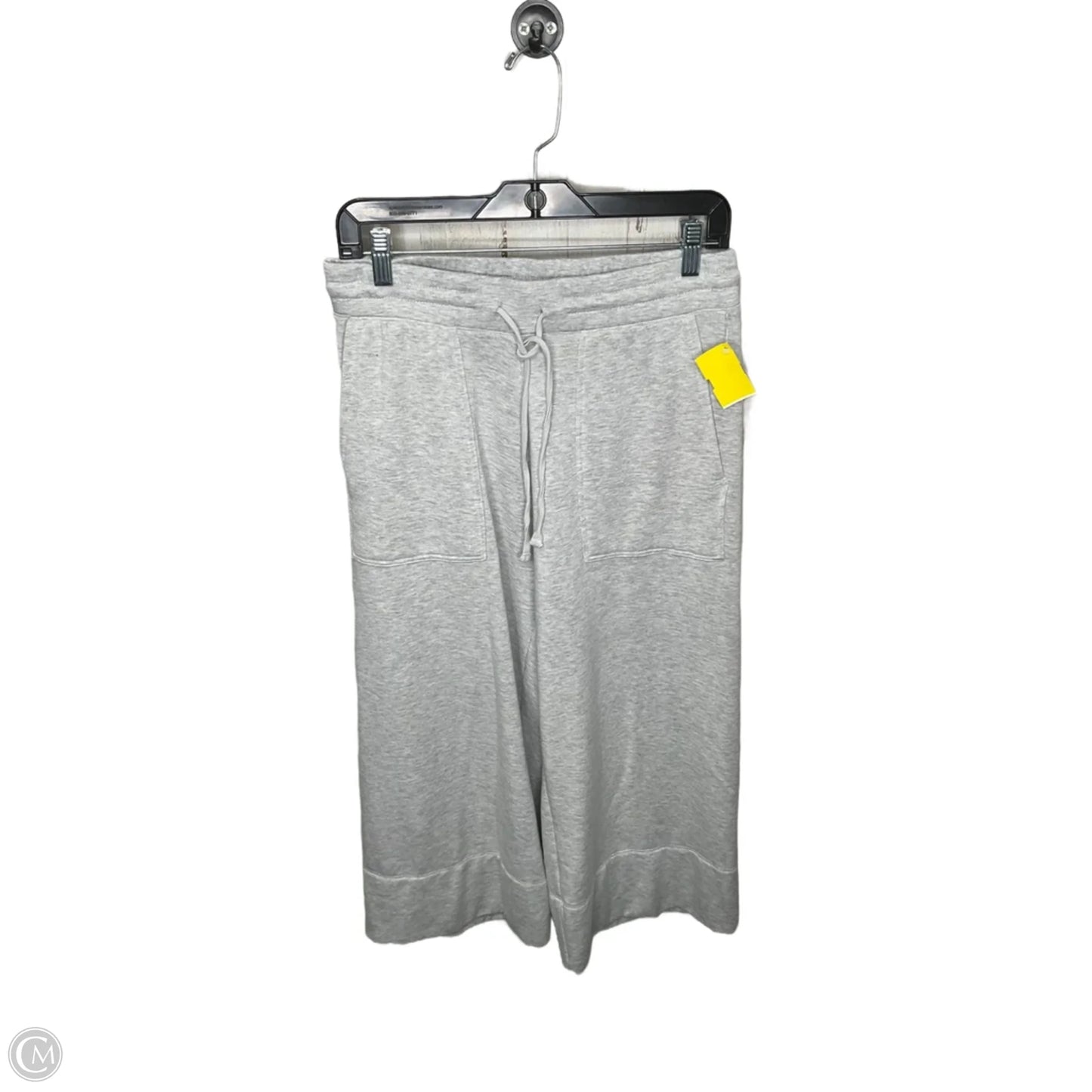 Athletic Pants By Quince In Grey, Size: M