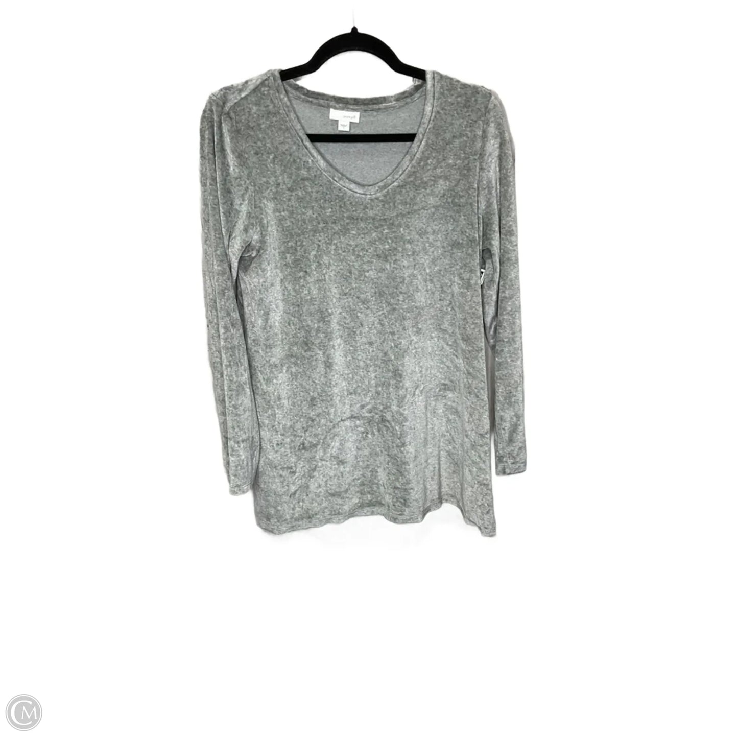 Sweatshirt Crewneck By Pure Jill In Silver, Size: S