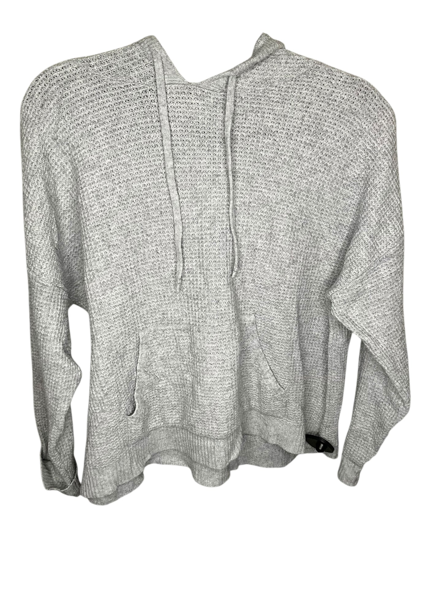 Sweatshirt Hoodie By Aerie In Grey, Size: S